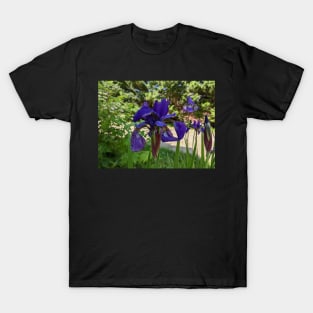 Blue and Purple Iris T-Shirt